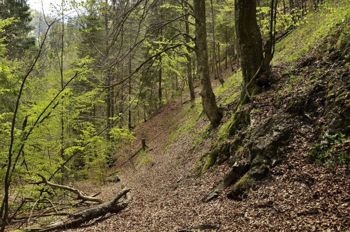 Neznámá jarní dolina, V.Fatra